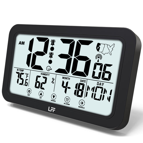 LFF LDC-001 Atomic Clock